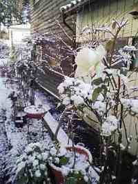 初☆雪はき・・・ 2007/01/09 21:59:20