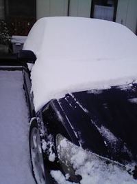 朝起きてみたら・・・ 2007/02/03 09:57:48