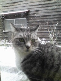 そして、　初☆雪かき。 2009/12/19 16:30:32