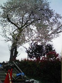 実験中・・・ 2006/05/07 16:44:00