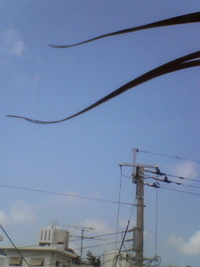 癒しの極意