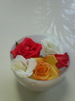 最近の茉莉花