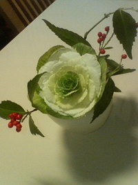 花キャベツ