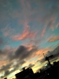 明日も・・・