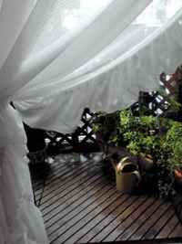 風 2010/11/08 19:23:59