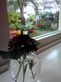 ＭＡＣ会 2012/04/23 03:17:13