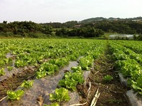 農業体験！ 2012/03/23 09:23:48