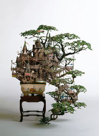ｂｏｎｓａｉ