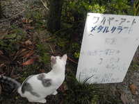 「庭にころがっている看板とビキニ」