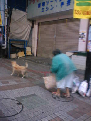 がんばれ！ばあちゃんと犬