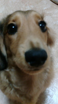 忙しい・・・ 2009/11/27 15:50:20