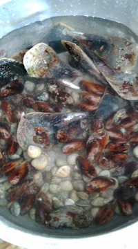 ☆GW☆1日目 2010/05/11 13:37:18