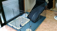 脱走 2010/07/14 11:36:13