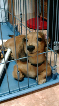 どこ行くの？？？ 2009/11/14 14:43:05