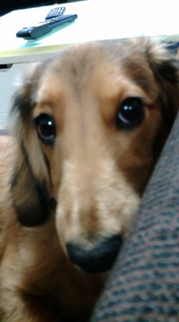かなり御無沙汰してました 2010/06/17 14:54:46