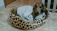 アバター 2010/02/03 22:14:25