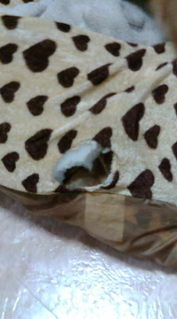 やっぱり(-_-ﾒ) 2010/01/20 14:34:33