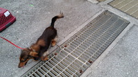 週末☆日曜日 2010/02/24 17:04:56