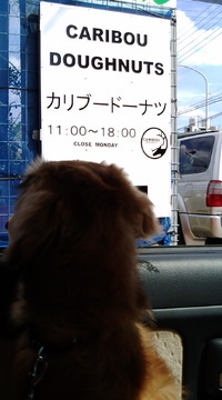 週末☆土曜日 2010/02/22 22:37:18
