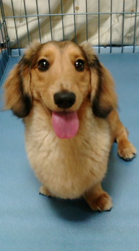 ミッキー☆11カ月♪ 2010/04/15 13:34:33