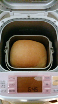 マイブーム 2010/04/22 11:22:17