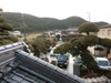 丹波より。。。