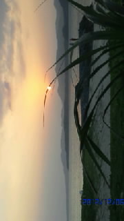 久しぶりの夕日
