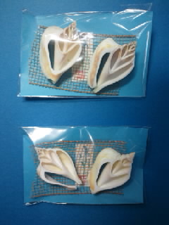 テラジャガイの箸置き
