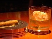Whiskey cat