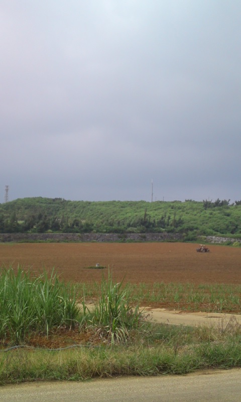 農作業