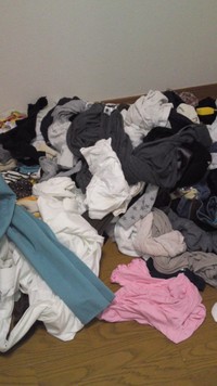 宝の山 2011/07/07 22:22:59