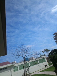 NEW！ 2011/11/24 12:14:14