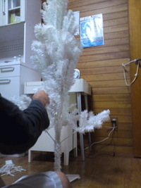 ｸﾘｽﾏｽﾂﾘｰやっと… 2011/12/14 23:14:03