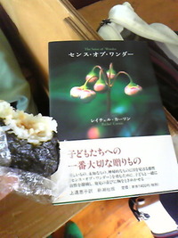 my job 2010/06/11 08:56:26