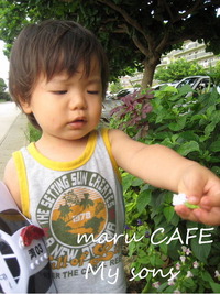 maru CAFE My sons 2010/07/12 10:09:50
