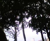 ウクイス 2008/03/09 13:53:19