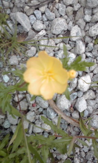 快晴 2010/06/12 19:24:12