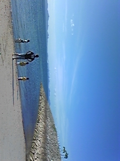 夏といえば・・・