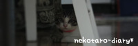 やること満載すぎて
