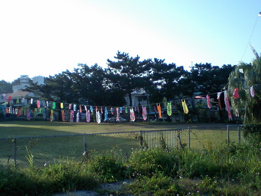 北谷町で見かけたこいのぼり