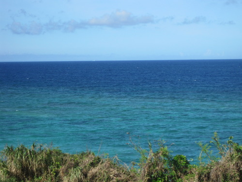 沖縄の海