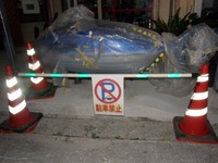 これはなに？？？　でっかいカツオお目見え 2010/04/06 16:51:42