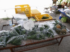 　７月ありんくりん市報告