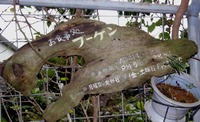 ありんくりん市の営業☆お食事処ブーゲン 2010/02/16 00:34:13