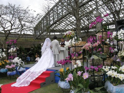オーキッドブライダルIN海洋博公園