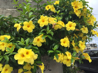 7月ですね〜