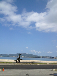 晴れました！