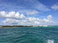 辺野古 沖より 2015/11/08 12:25:55