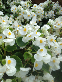 3月