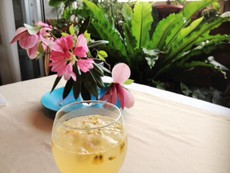 エネルギーの匂い。～エネルギー臭は嘘をつきません。～